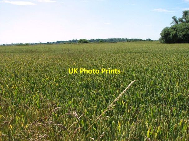 Photo 6"x4" Fields by Hill Farm Pristow Green c2014