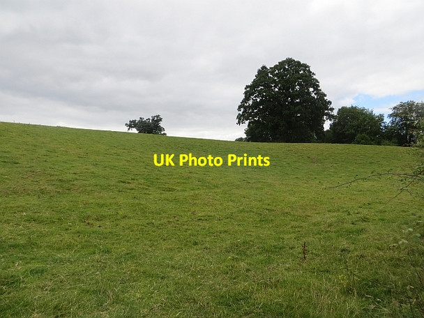 Photo 6"x4" Field, Shawl Nextend c2013