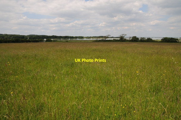 Photo 6"x4" Field in Newtown Newtown\/SZ4290 c2014