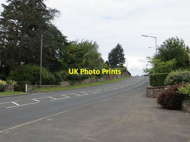 Photo 6"x4" A6, Carleton Carleton\/NY4252 c2014