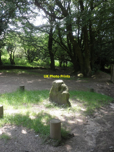 Photo 6"x4" Triscombe Stone Triscombe c2014