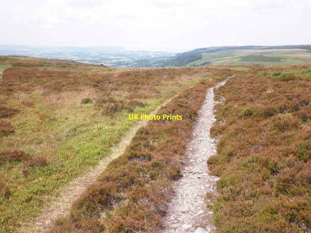 Photo 6"x4" Track on Wills Neck Triscombe c2014