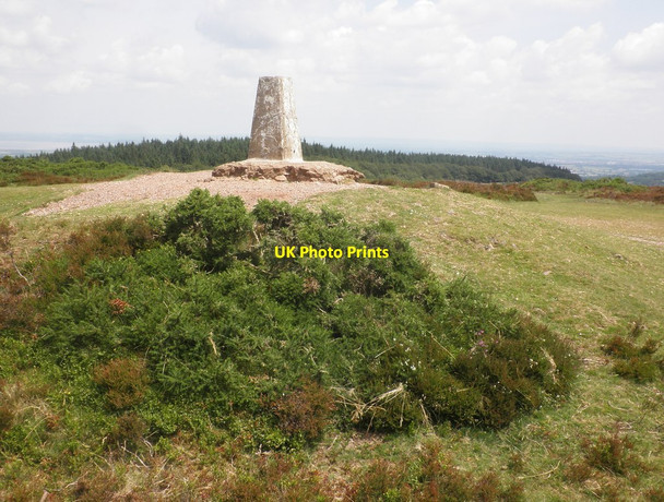 Photo 6"x4" Trig point on Wills Neck Triscombe c2014
