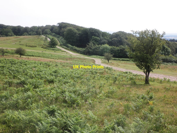 Photo 6"x4" Crowcombe Park Gate Crowcombe c2014