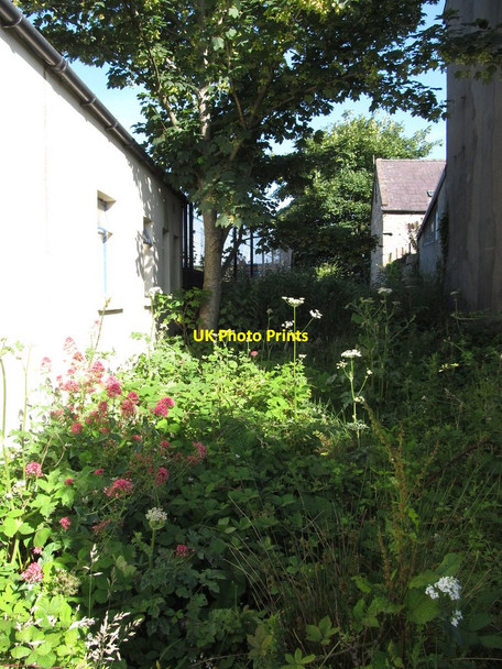 Photo 6"x4" Overgrown waste land between the Ulsterbus Depot and terraced housing in Greencastle Street, Kilkeel Kilkeel c2014