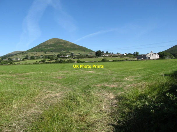 Photo 6"x4" Harvested hayfield on the west side of Kilfeaghan Road Greencastle\/J2411 c2014