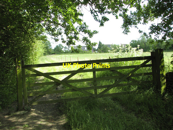 Photo 6"x4" Public footpath to Woodrow Lane Sneath Common c2014