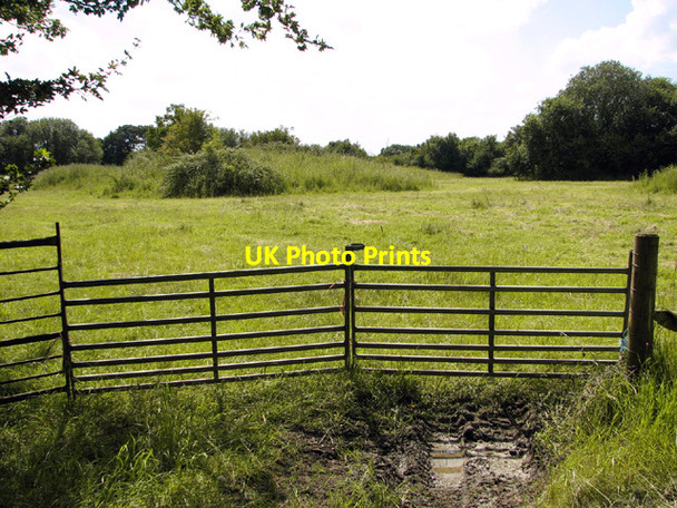 Photo 6"x4" RAF Tibenham - Site 2 Sneath Common c2014