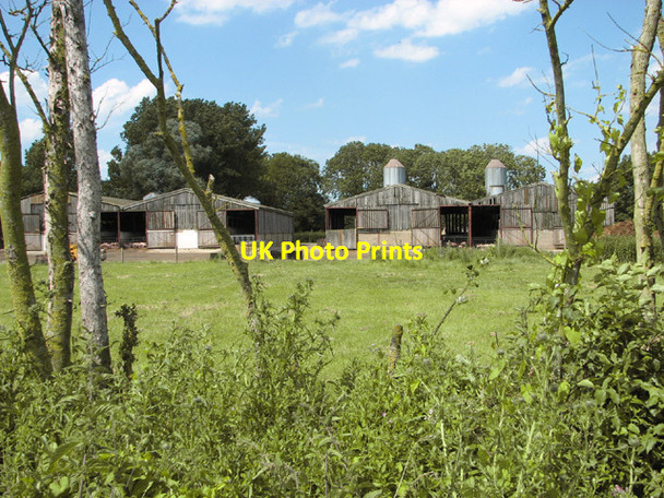 Photo 6"x4" Livestock sheds at Beech Farm Sneath Common c2014
