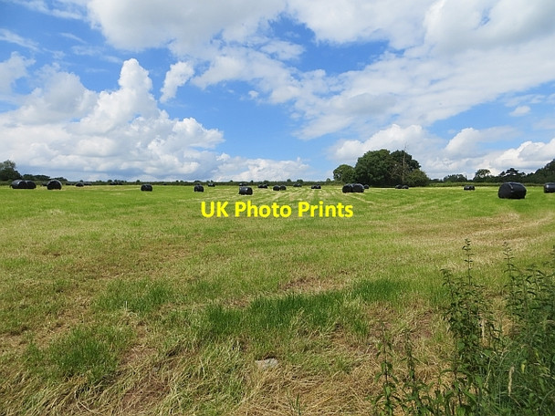 Photo 6"x4" Round bales, Sarnesfield Sarnesfield c2014