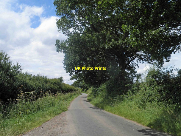 Photo 6"x4" Catskin Lane near Walesby Risby\/TF1491 c2014