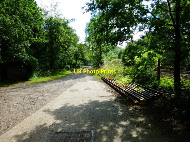 Photo 6"x4" Beside the tracks near Witley Station Brook\/SU9337 c2014