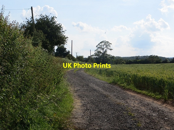 Photo 6"x4" Farm road, Tedstill Middleton Scriven c2014