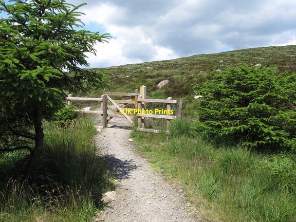 Photo 6"x4" A mountain bike path on Slievemeel Rostrevor c2014