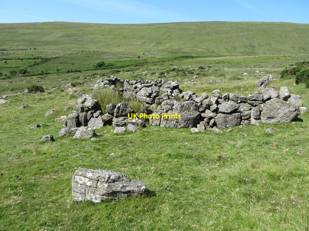 Photo 6"x4" Derelict sheep fold at Curraghknockadoo Rostrevor c2014