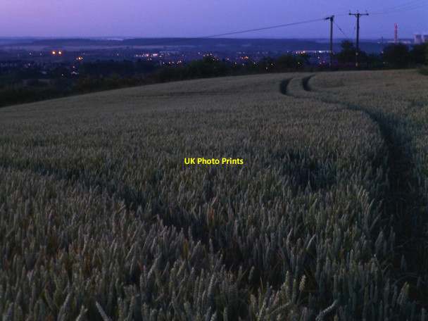 Photo 6"x4" Wheat field at dawn Dale Moor c2014