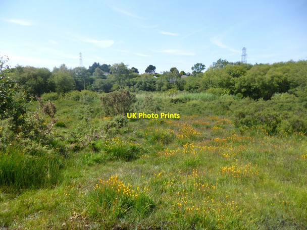 Photo 6"x4" Bourne Bottom, bog Turbary Common c2014