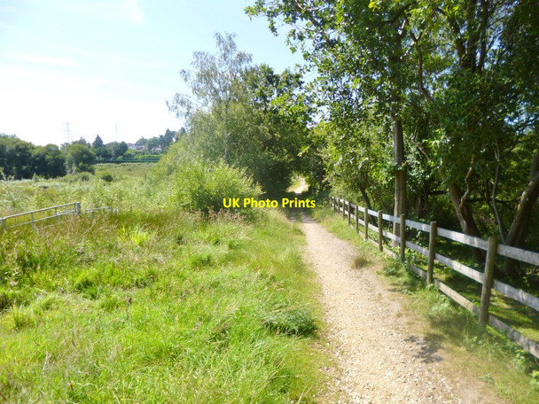 Photo 6"x4" Bourne Bottom, path Turbary Common c2014