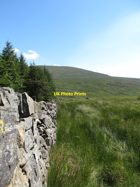 Photo 6"x4" Stone wall forming the eastern boundary of Rostrevor Forest Rostrevor c2014