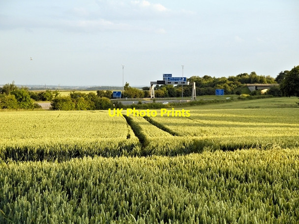Photo 6"x4" Crop field near the M1 Hollinthorpe c2014