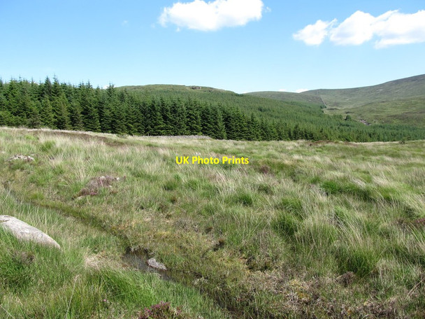 Photo 6"x4" Waterlogged path approaching the Rostrevor Forest Rostrevor c2014