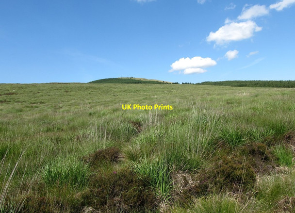 Photo 6"x4" Blanket bog on The Rowans with the summit of Crenville in the background Rostrevor c2014