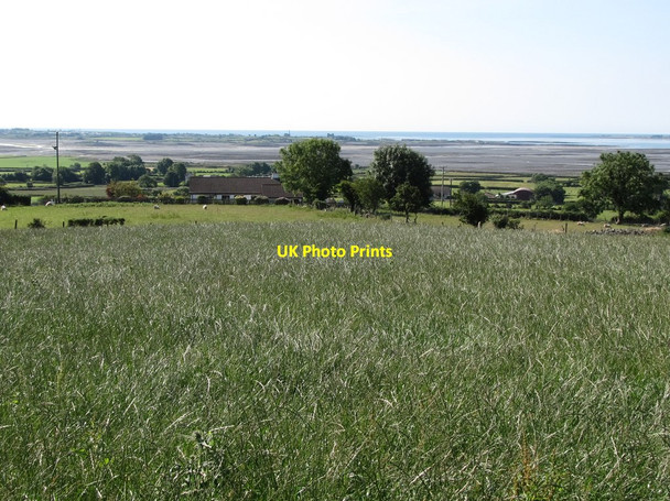 Photo 6"x4" A lush hay field next to the Kilfeaghan Dolmen Greencastle\/J2411 c2014