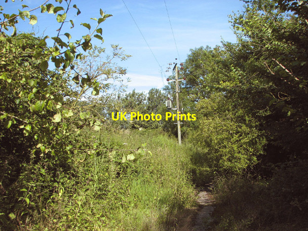 Photo 6"x4" Footpath to Fersfield Common Boyland Common c2014