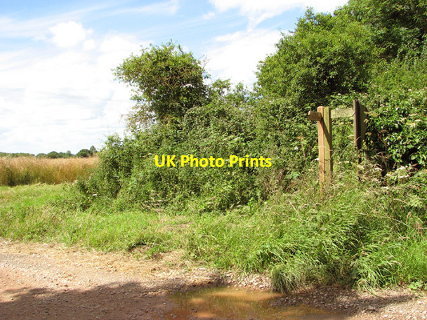 Photo 6"x4" Fingerposts beside Airfield Road Boyland Common c2014