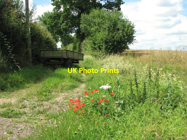 Photo 6"x4" Public footpath to Willow Farm Fersfield c2014