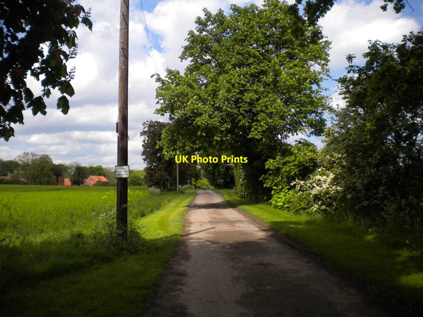 Photo 6"x4" Track to Hagg Farm Gonalston c2014