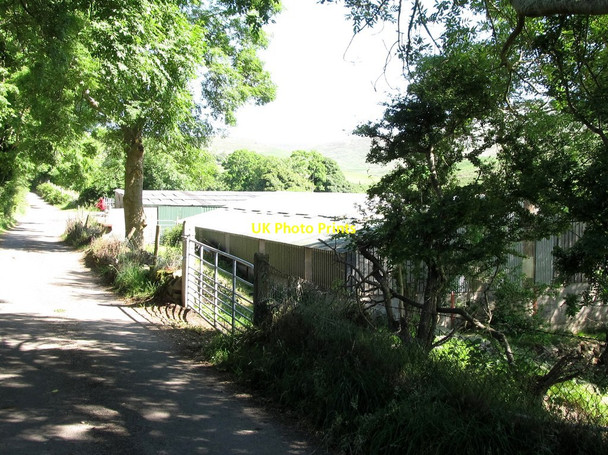 Photo 6"x4" Shearing sheds alongside Kilfeaghan Road Greencastle\/J2411 c2014