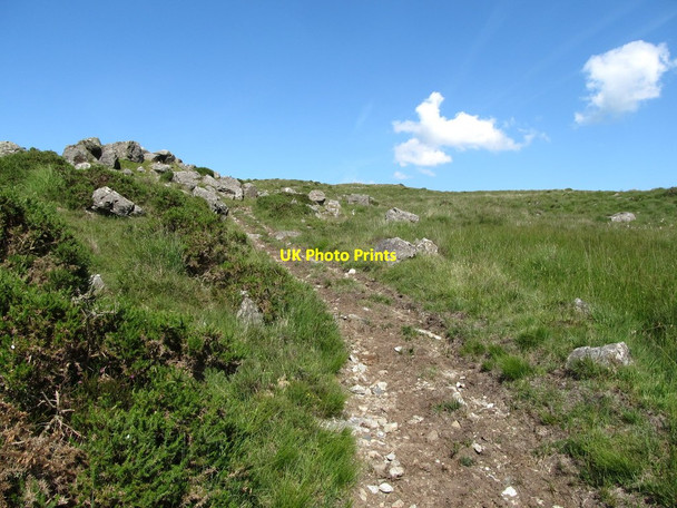 Photo 6"x4" The ascending path above Curraghknockadoo Rostrevor c2014