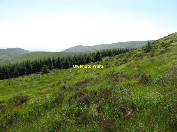 Photo 6"x4" View southwestwards towards the forest from a spur of Slievemeel Rostrevor c2014