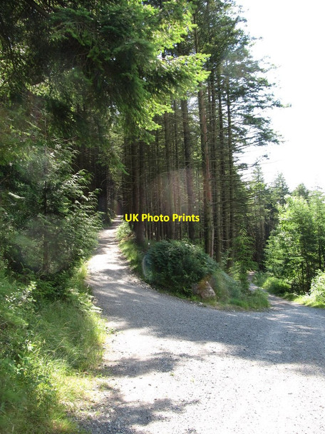 Photo 6"x4" Major track junction Rostrevor c2014