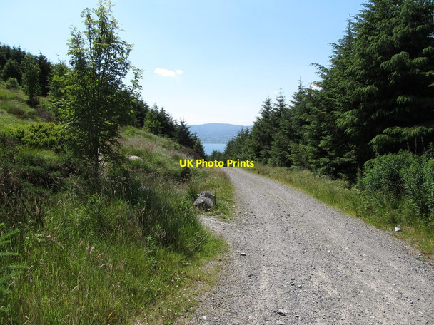 Photo 6"x4" Mountain bike path junction with the main forest roadway Rostrevor c2014