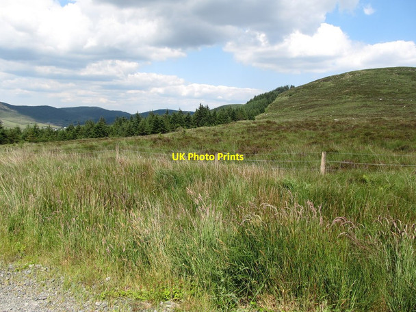 Photo 6"x4" The upper limit of the Kilbroney Valley forest on Slievemeel Rostrevor c2014