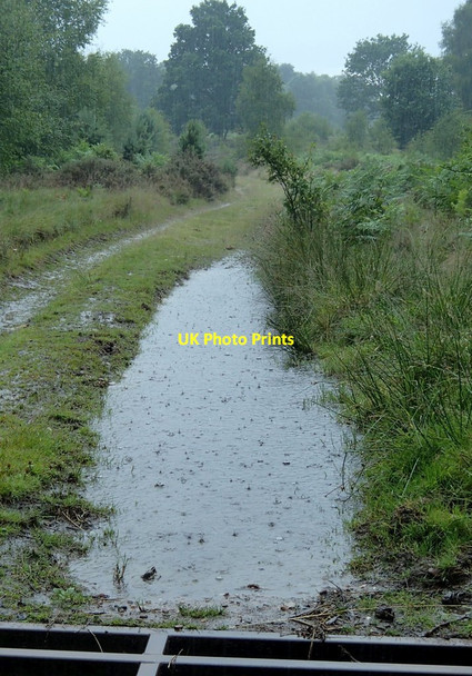 Photo 6"x4" Track, Budby South Forest Budby c2014