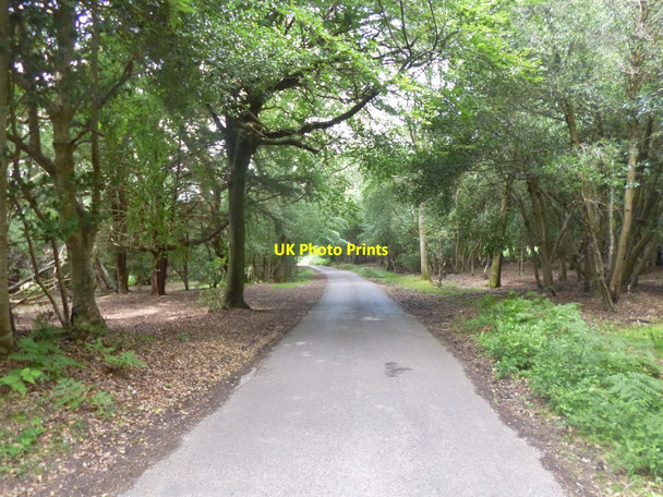 Photo 6"x4" Fritham, minor road Fritham c2014