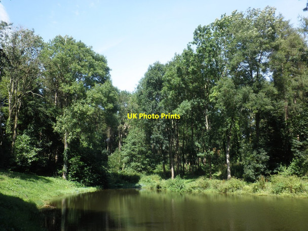 Photo 6"x4" Upper ornamental lake, Hestercombe Gardens Gotton c2014