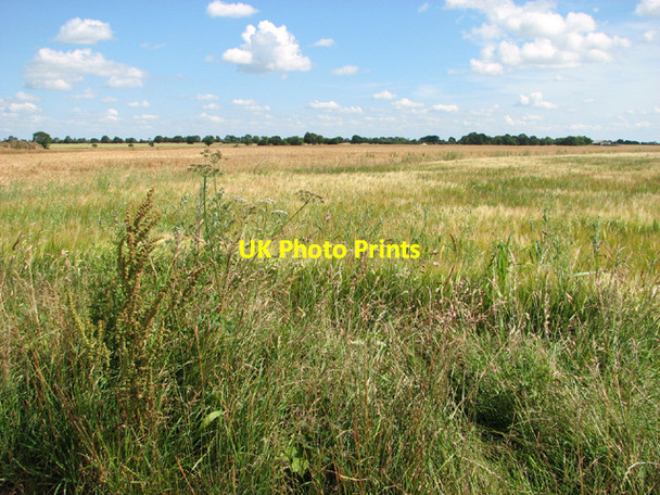 Photo 6"x4" Crop fields on the former Fersfield airfield Boyland Common c2014