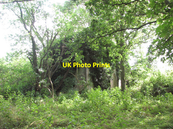 Photo 6"x4" RAF Fersfield - Site 4 Boyland Common c2014 P8
