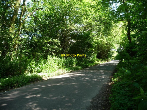 Photo 6"x4" The road south-east from Woodland Gate Bramdean c2014
