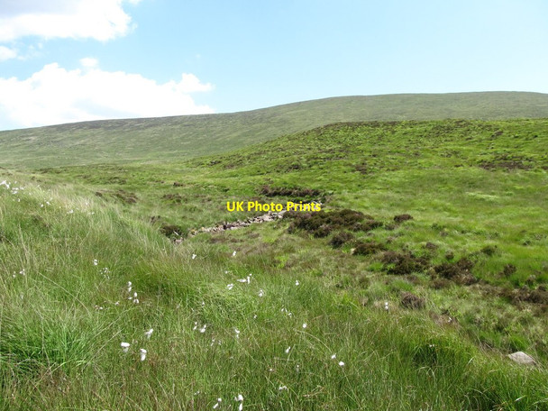 Photo 6"x4" View northwards towards the source of the Cassy Water Rostrevor c2014