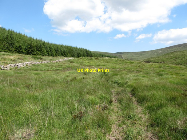 Photo 6"x4" Waterlogged path between the forest and the Cassy Water river Rostrevor c2014