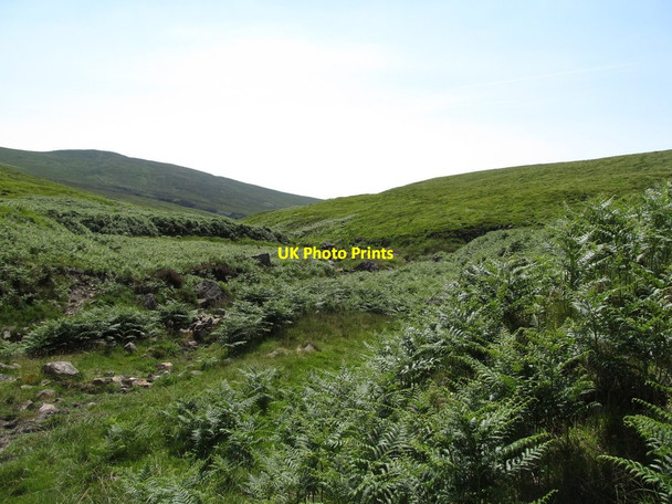 Photo 6"x4" The incised valley of the Cassy Water Rostrevor c2014