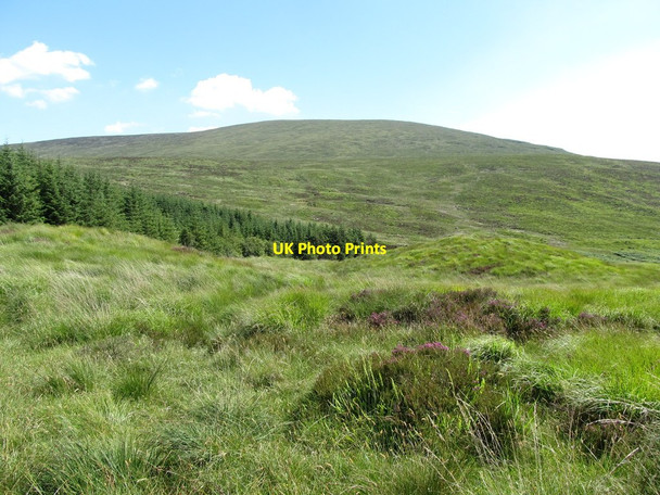 Photo 6"x4" Hummocky terrain west of the Cassy Water Rostrevor c2014