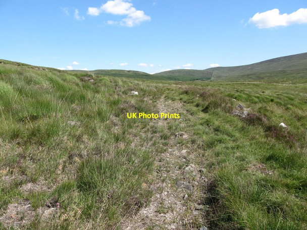 Photo 6"x4" Dried up quad path below The Rowans Rostrevor c2014