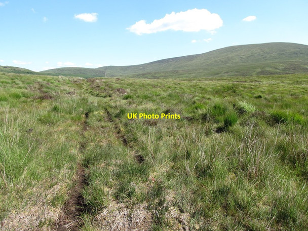 Photo 6"x4" Quad bike track on Slieveanowen Rostrevor c2014
