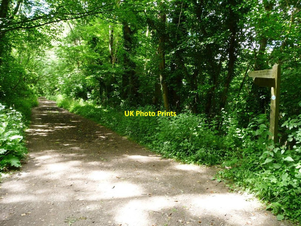 Photo 6"x4" South Downs Way signpost on the Meon Valley Trail Exton\/SU6121 c2014